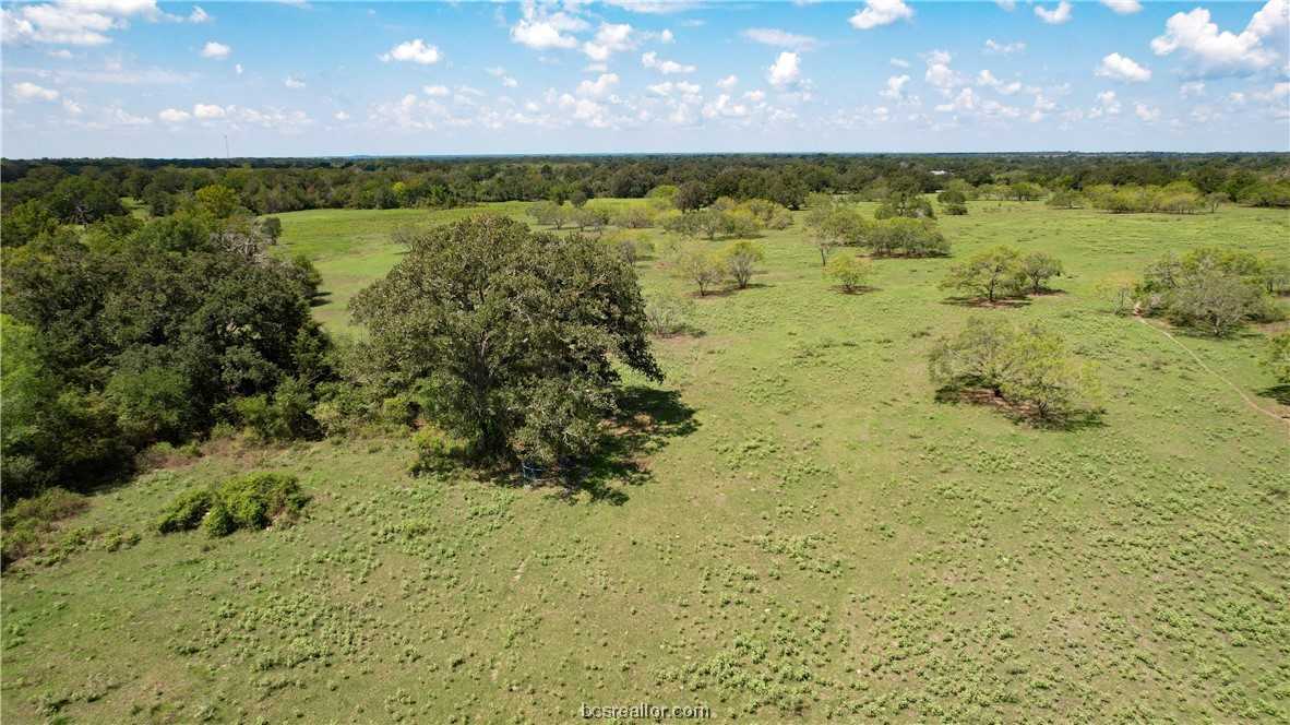 photo 2: 26.8 Acres FM 244, Iola TX 77861