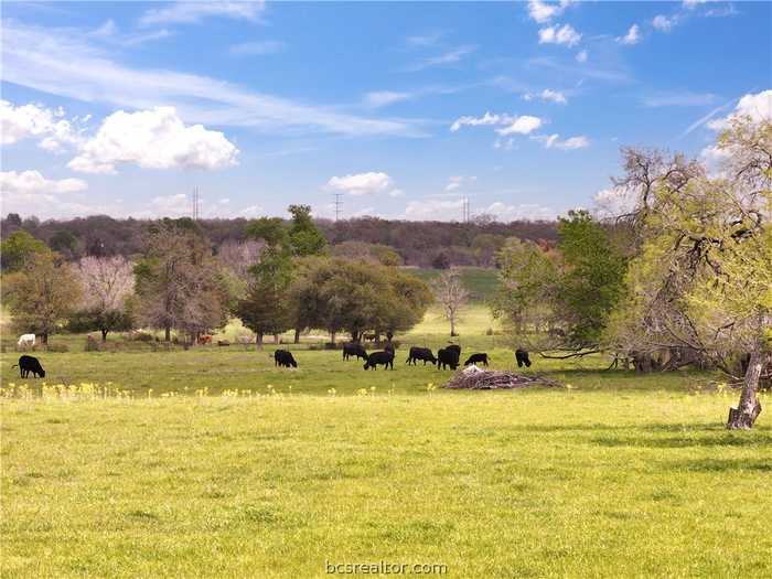 photo 20: 19 Acres FM 244, Iola TX 77861