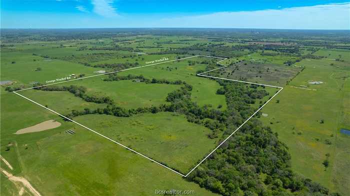 photo 32: TBD FM 1373, Bremond TX 76629