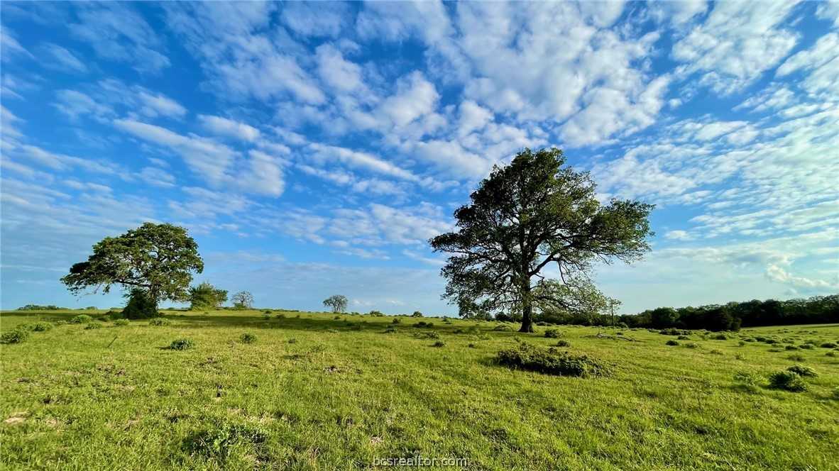 photo 3: 14129 Vitera Sand Road, Bremond TX 76629