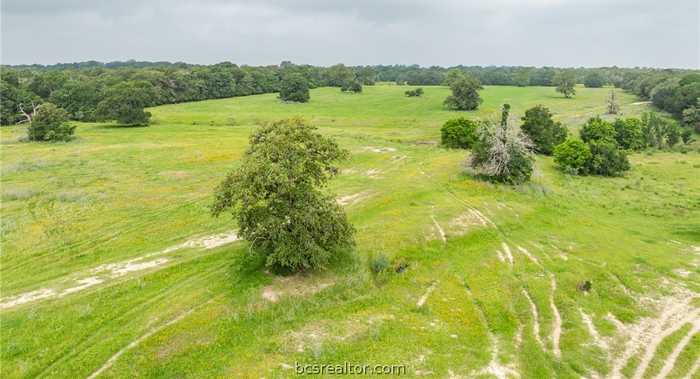 photo 31: TBD CR 140 & TBD CR 142 TBD County Road 140 & 142, Caldwell TX 77836