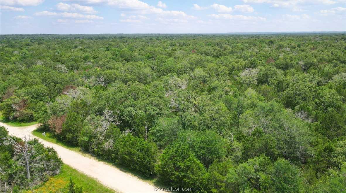 photo 3: 220 Overlook, Somerville TX 77879