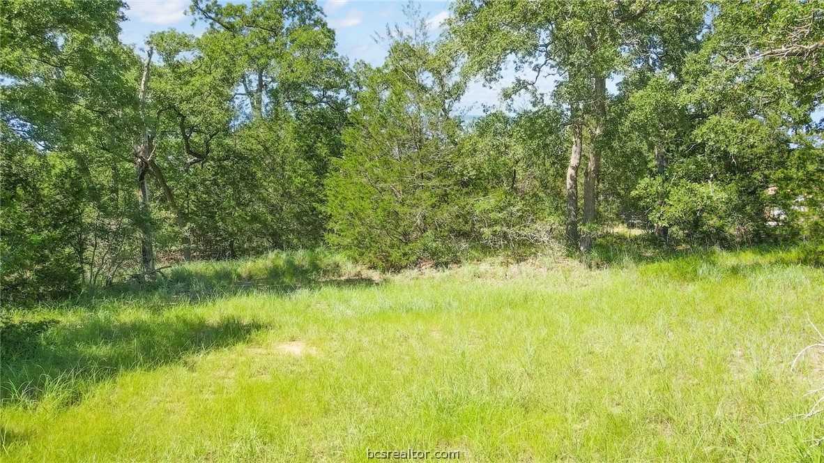 photo 1: TBD Woodvine Lane, Somerville TX 77879