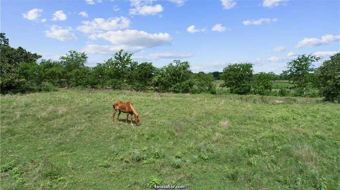 photo 20: 16518 Kelton Lane, Iola TX 77831