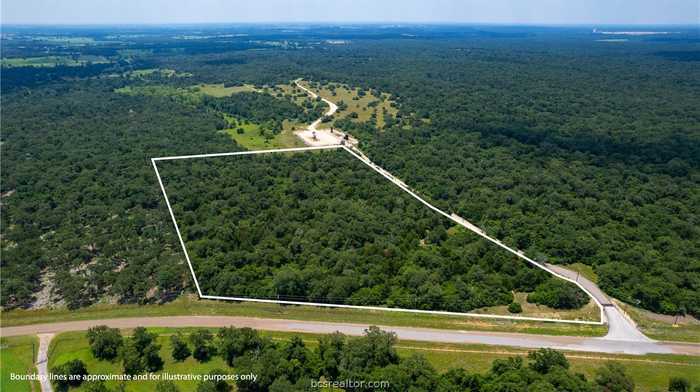 photo 12: TBD County Road 316, Caldwell TX 77836