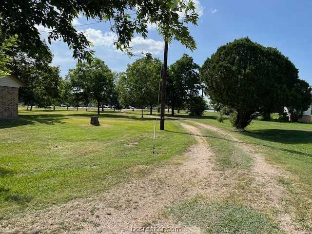 photo 3: 489 County Road 265, Snook TX 77878