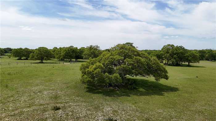 photo 2: TBD FM 60 (Tract 1), Somerville TX 77879