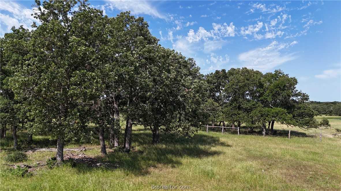 photo 3: TBD FM 60 (Tract 1), Somerville TX 77879