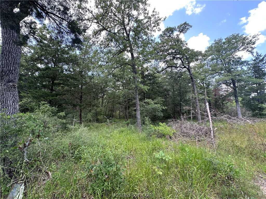 photo 3: 2.91 Acres Cedar Creek Road, Caldwell TX 77836