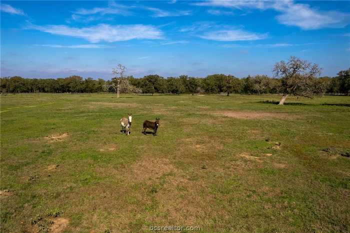 photo 13: 14596 County Road 274, Somerville TX 77879