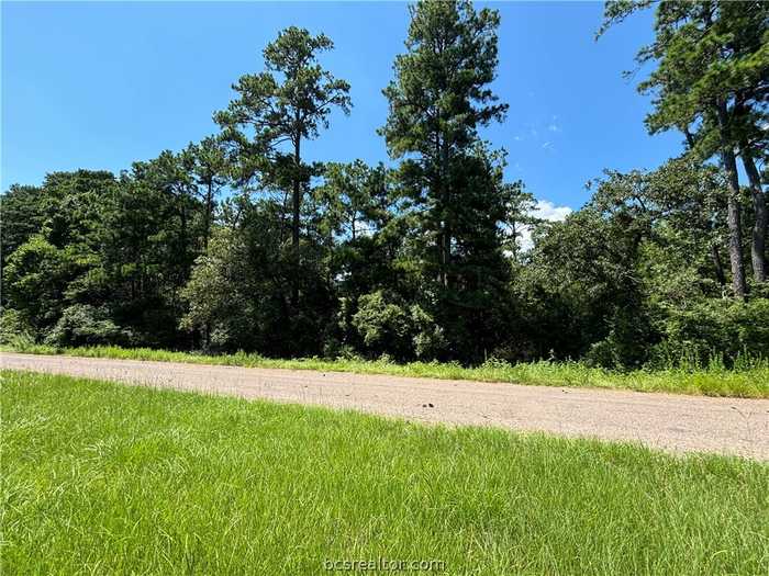 photo 2: Cherry Laurel Lane, Navasota TX 77868