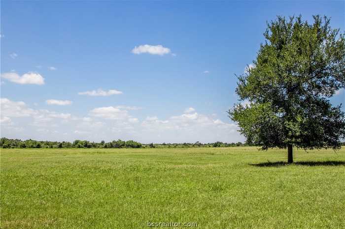 photo 1: TBD (+/-12.5 Acres) County Road 318, Caldwell TX 77836