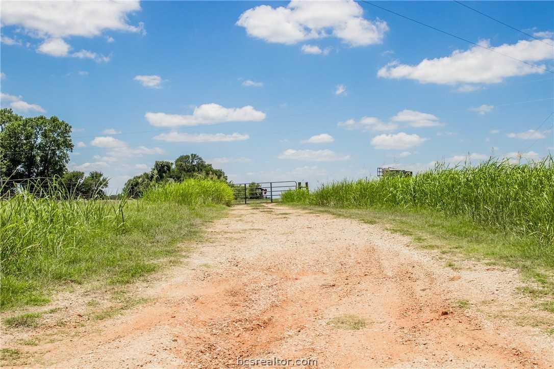 photo 2: 11332 County Road 318, Caldwell TX 77836