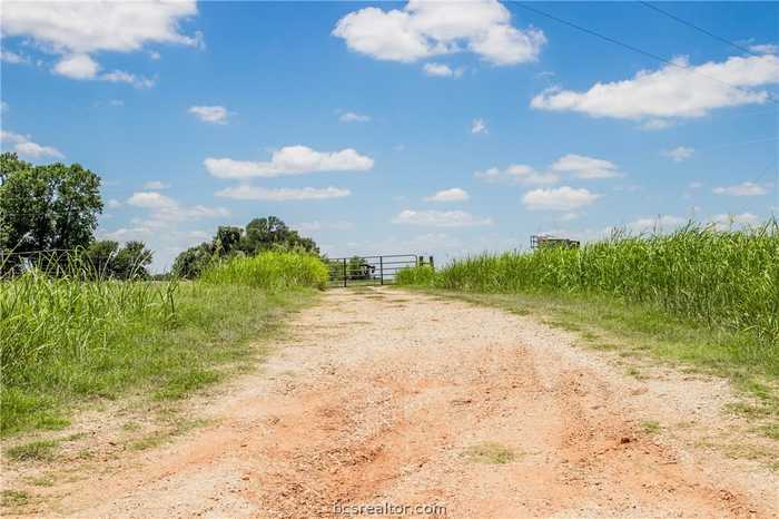 photo 2: TBD (+/-16.8 Acres) County Road 318, Caldwell TX 77836