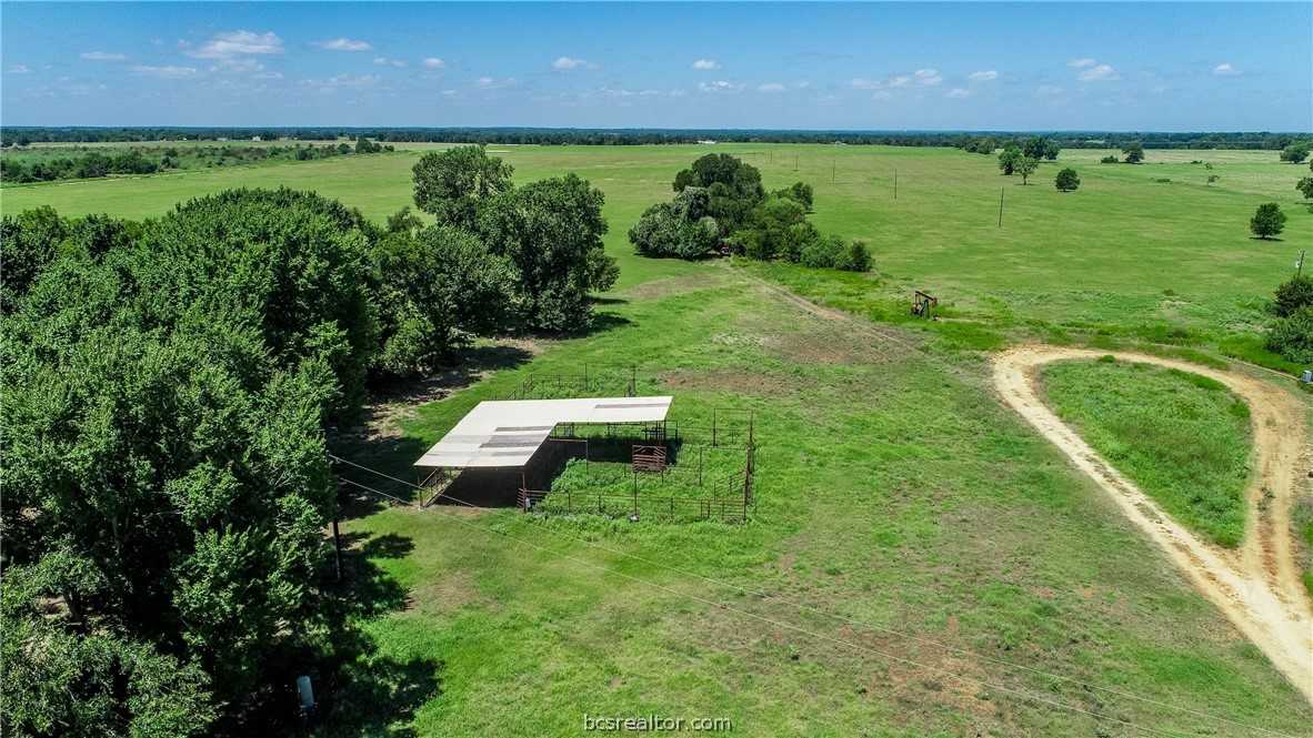 photo 3: 11332 County Road 318, Caldwell TX 77836