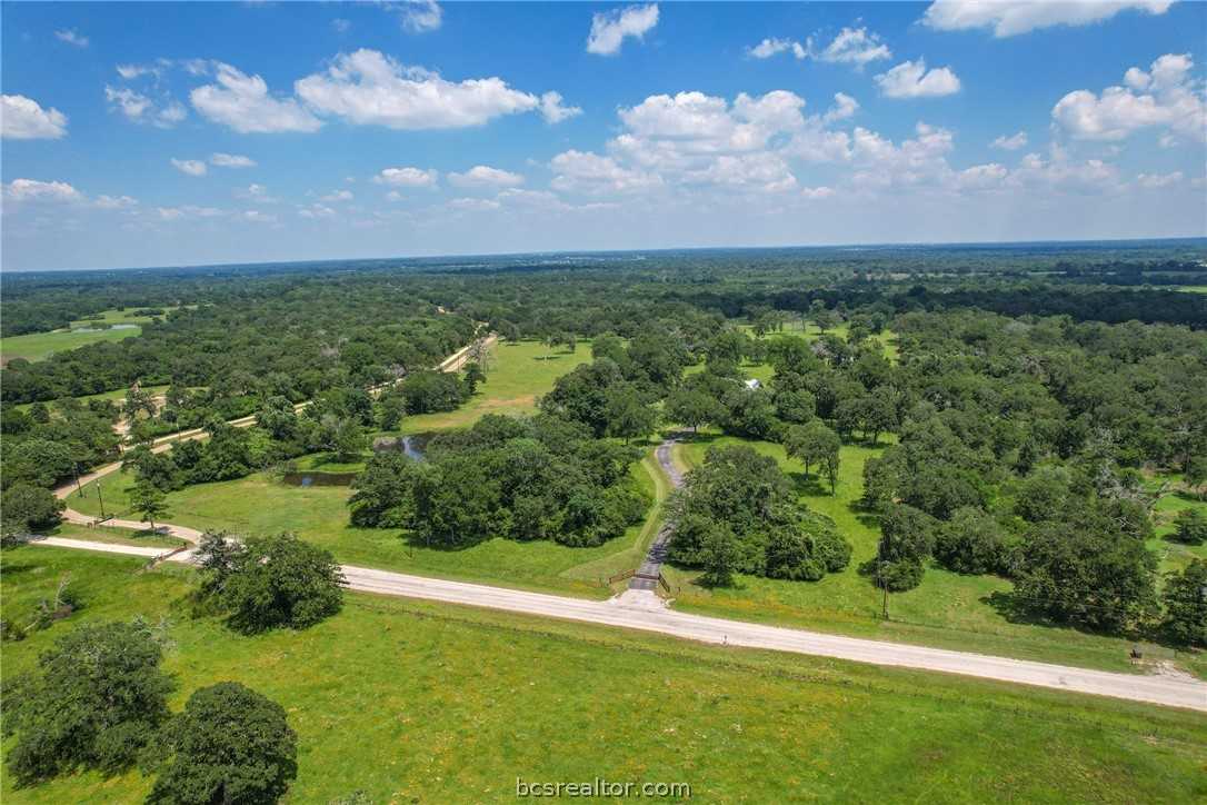 photo 3: 12376 Wickson Lake Road, Bryan TX 77808