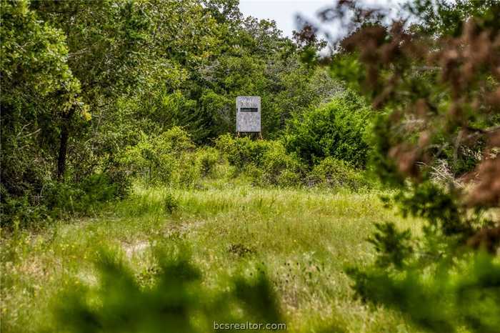 photo 2: TBD Park Road 4  (111.71 Acres), Somerville TX 77879