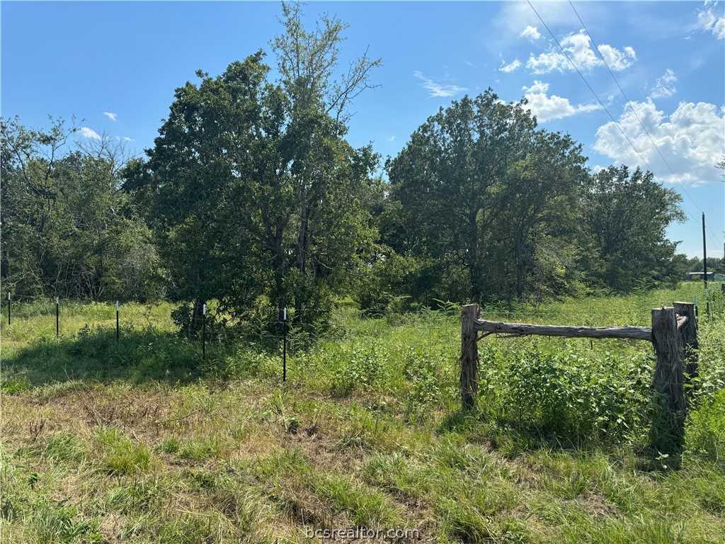 photo 3: 2499 Barker Prairie Road, Navasota TX 77868