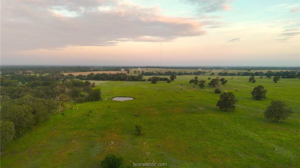 photo 3: 9233 County Road 103, Iola TX 77861