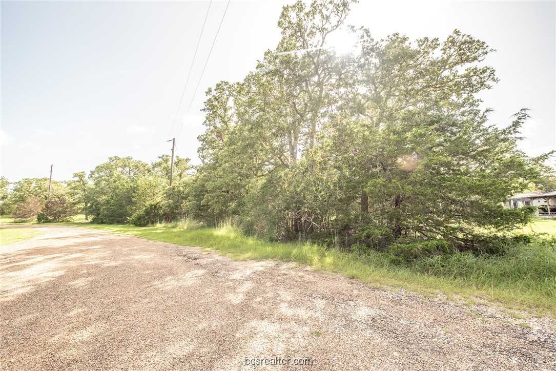 photo 3: 103 Fox Hollow Circle, Somerville TX 77879