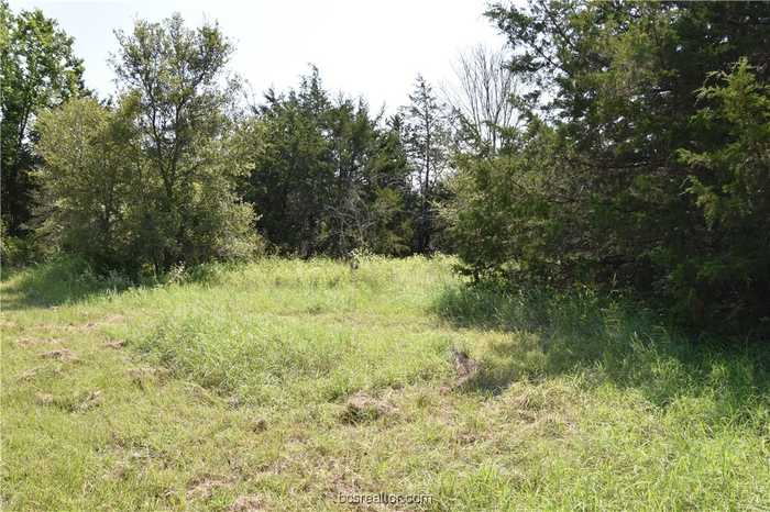 photo 2: TBD County Road 126 CountyRoad, Caldwell TX 77836