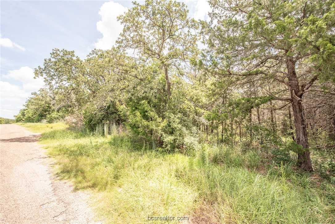 photo 2: Lot 92 Lois Lane Street, Somerville TX 77879