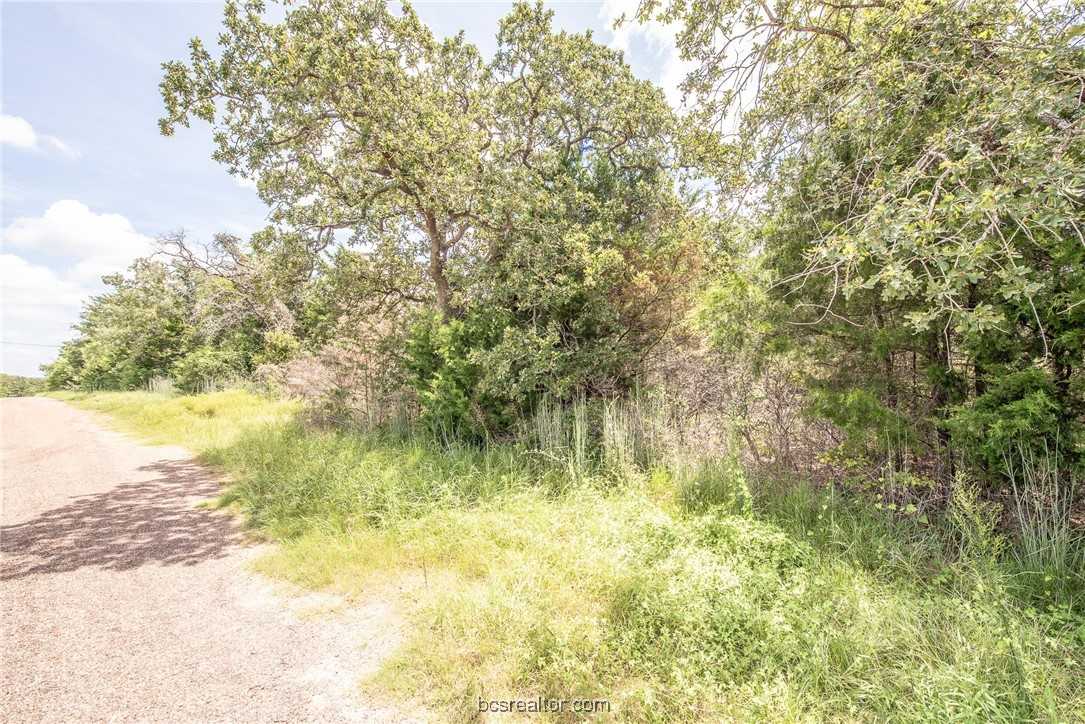 photo 3: Lot 92 Lois Lane Street, Somerville TX 77879