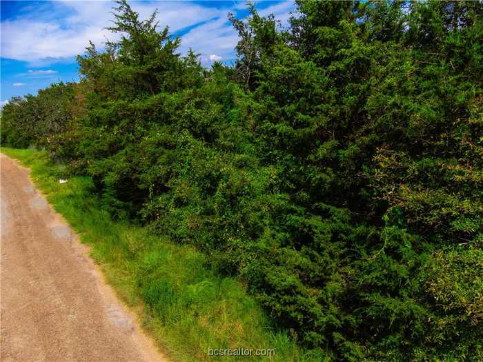 photo 42: Lot 92 Lois Lane Street, Somerville TX 77879