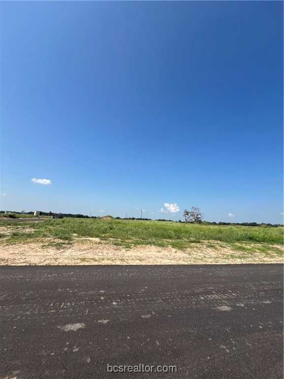 photo 3: 3201 Hunters Crossing Trail, Bryan TX 77808