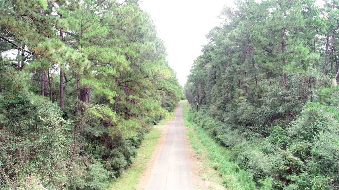 photo 2: TBD Pavlock Rd, Navasota TX 77868