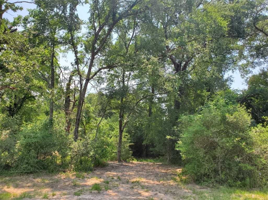 photo 2: 10171 St John Drive, Iola TX 77861