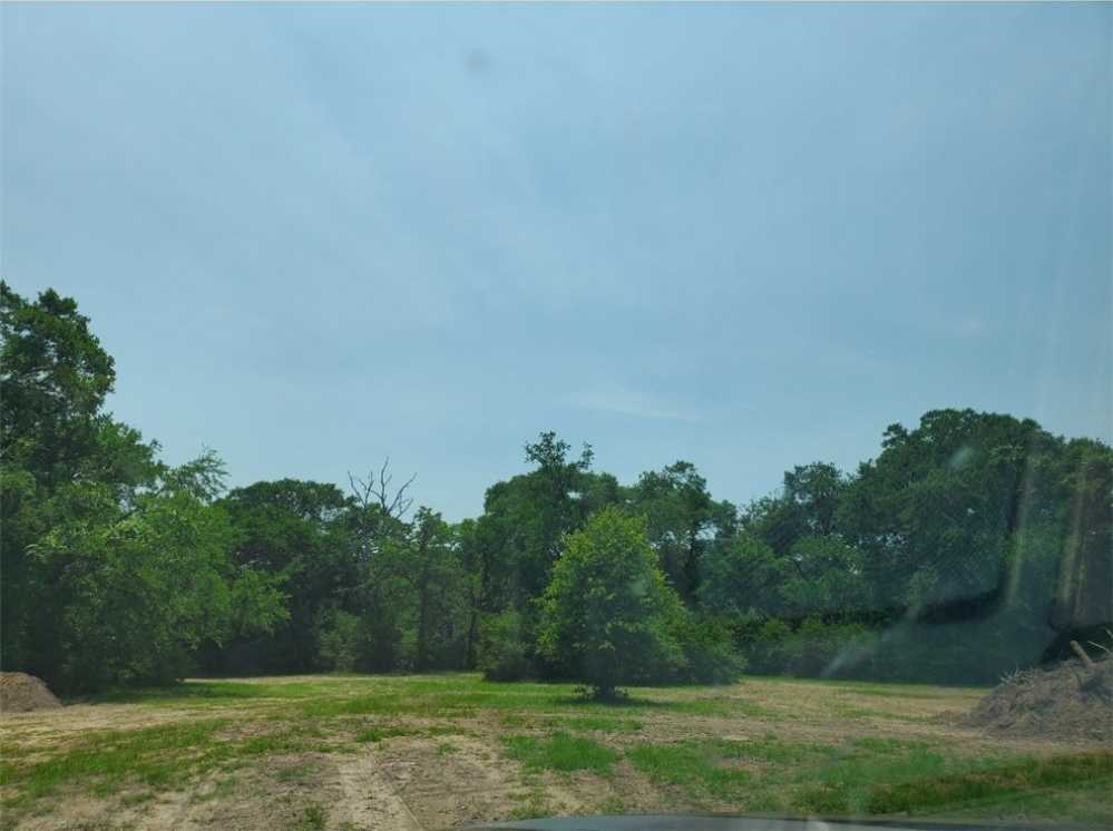 photo 3: 10171 St John Drive, Iola TX 77861