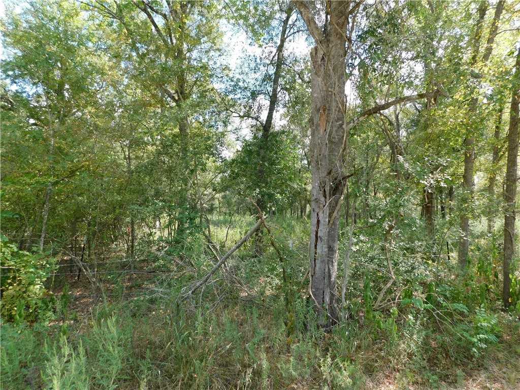 photo 3: 2621 W Pin Oak Lane, Caldwell TX 77836