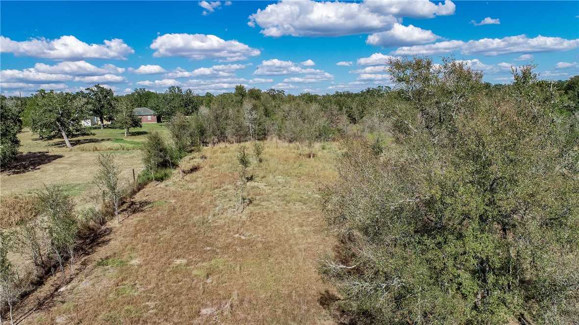 photo 3: 503 Berry Creek Drive, Caldwell TX 77836