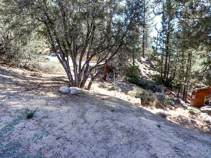 photo 11: Cedar Dell Road, Fawnskin CA 92333