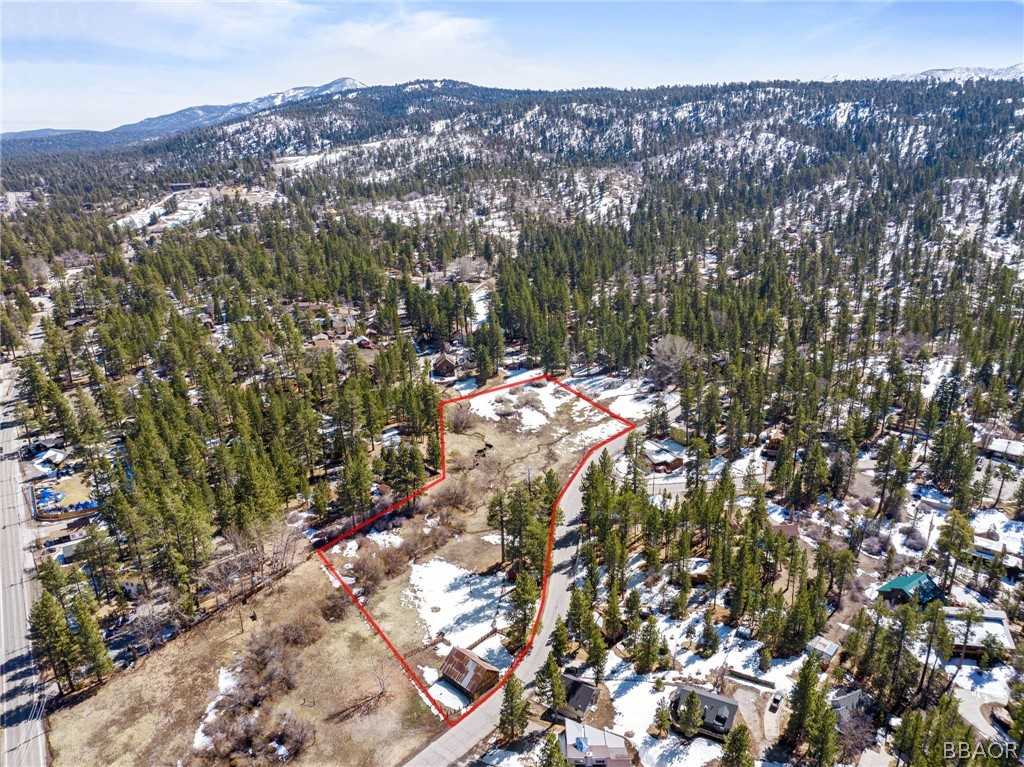 photo 2: 789 Tulip Lane, Big Bear Lake CA 92315