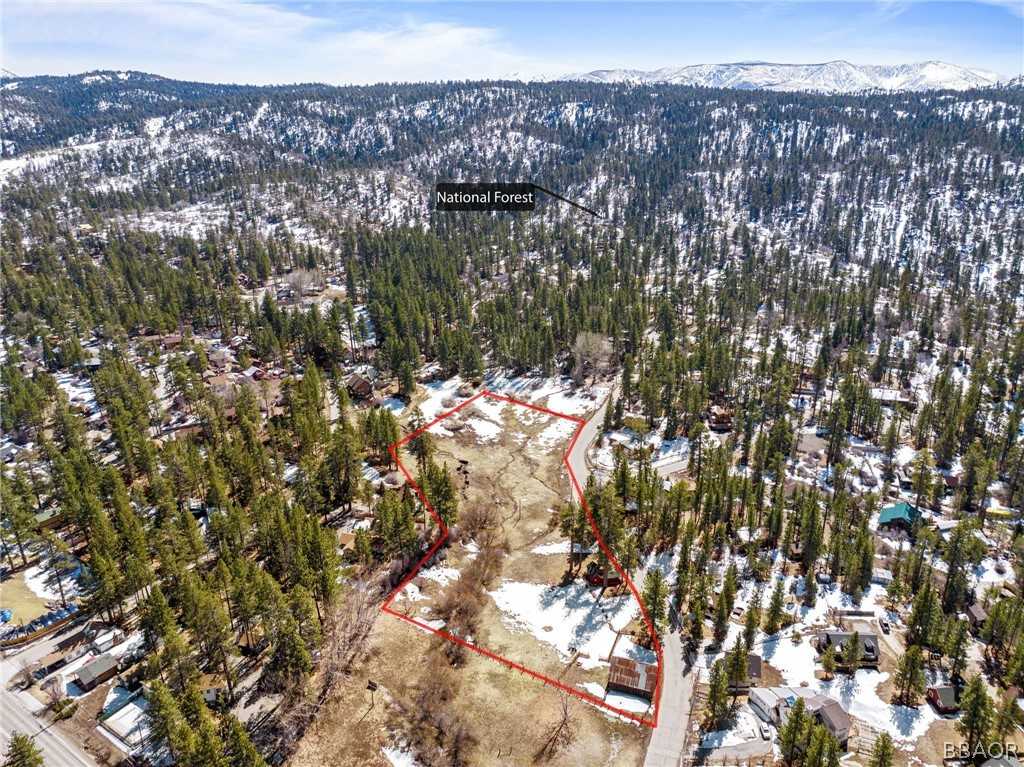 photo 3: 789 Tulip Lane, Big Bear Lake CA 92315