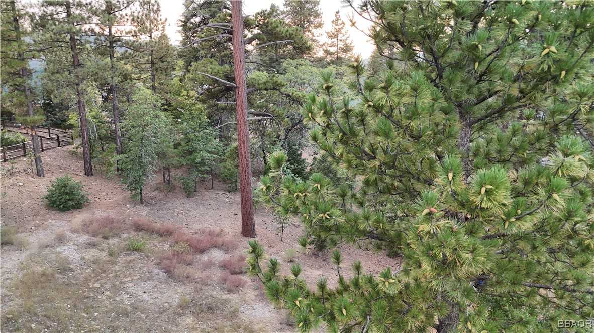 photo 3: 844 Talmadge Road, Big Bear Lake CA 92315