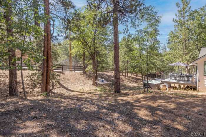 photo 48: 796 Ford Lane, Big Bear Lake CA 92315