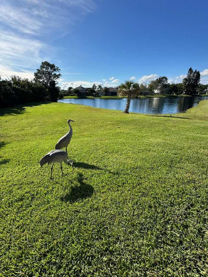 photo 27: 7442 Spyglass Hill Road, Melbourne FL 32940