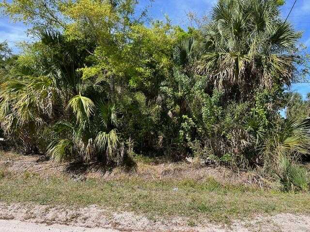 photo 3: Cangro, Cocoa FL 32926