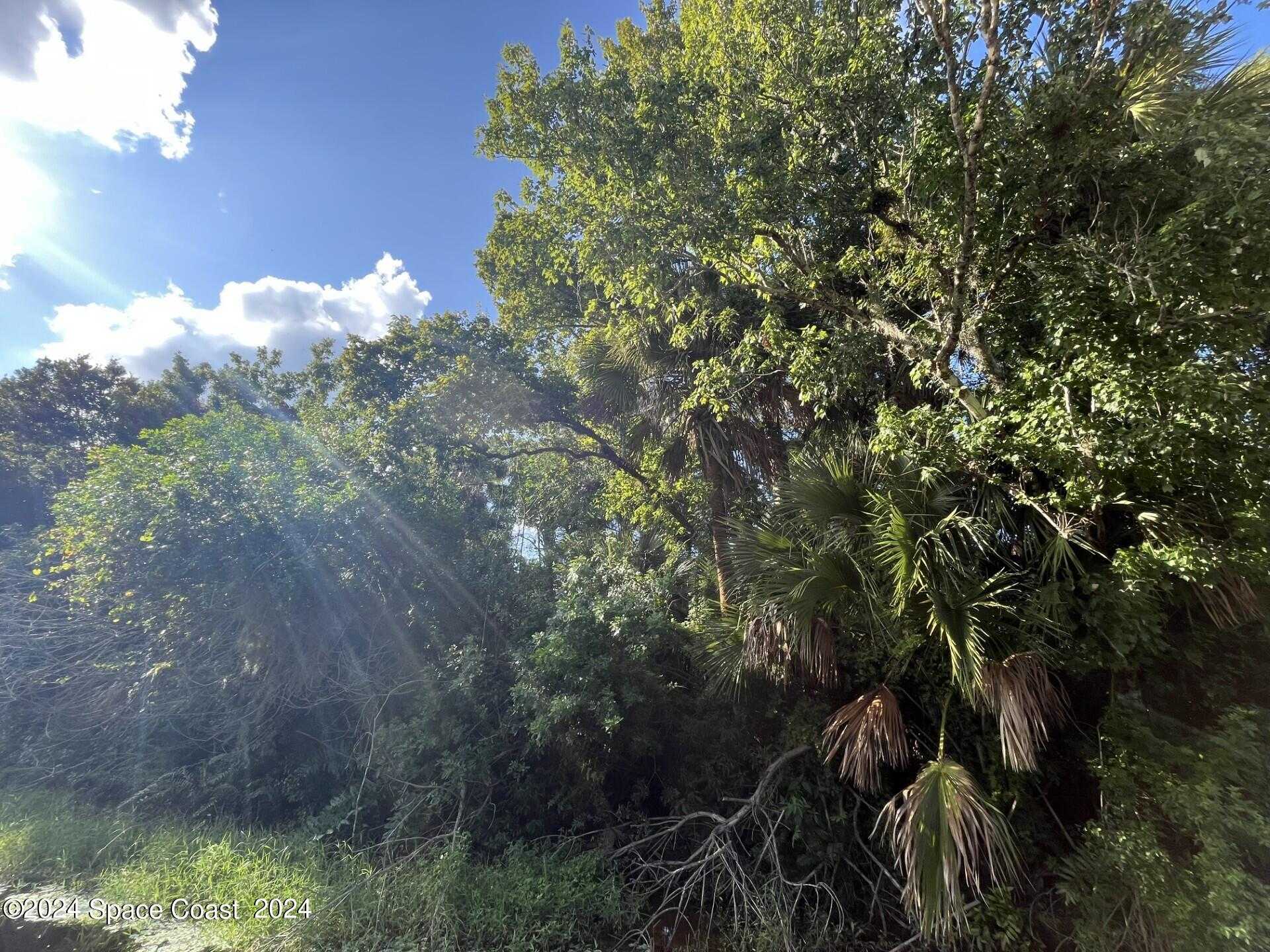 photo 1: James Road, Cocoa FL 32926