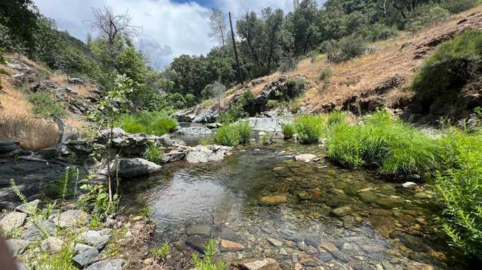 photo 2: Sheep Ranch Rd, Sheep Ranch CA 95246