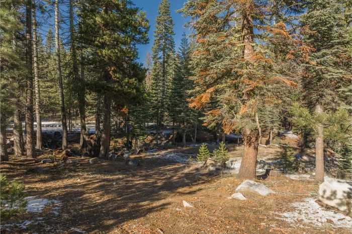 photo 2: 422 Salt Springs Trail, Tamarack CA 95223