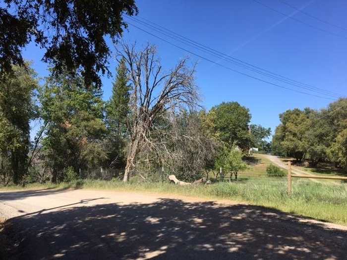 photo 2: 7495 Doster, Mountain Ranch CA 95246