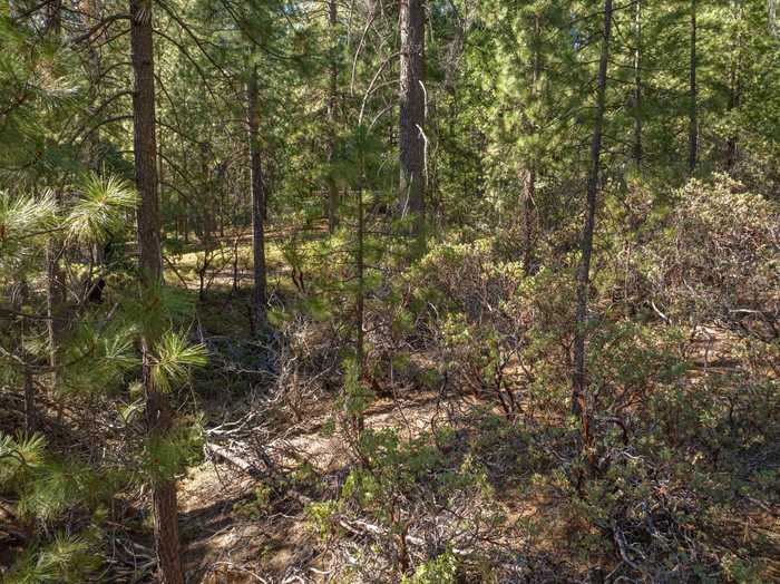 photo 20: 3003 Black Bear, Arnold CA 95223