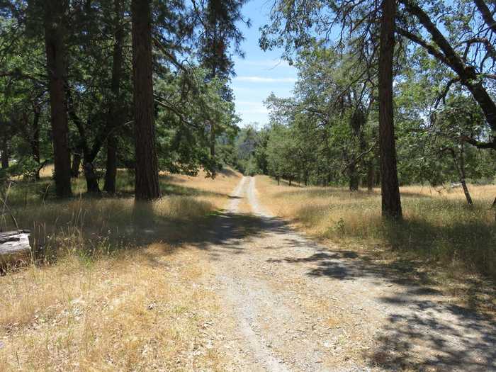 photo 2: 4426 Bald Mountain Road, West Point CA 95255