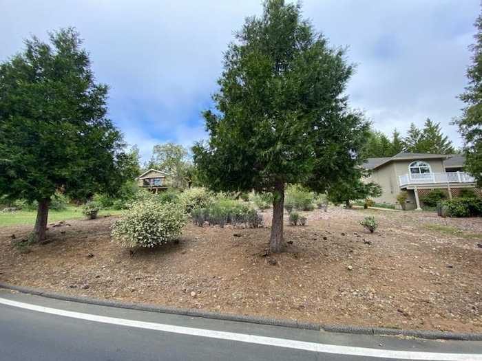 photo 1: 630 Forest Meadows, Murphys CA 95247