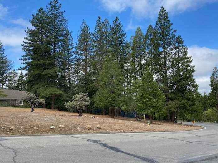 photo 1: 138 Forest Meadows, Murphys CA 95247