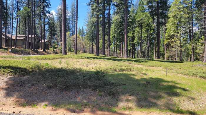 photo 2: Vireo Way, Arnold CA 95223